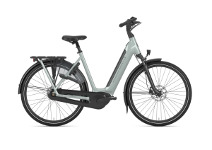 ROWER GAZELLE GRENOBLE C8 light olive d 49  540Wh  